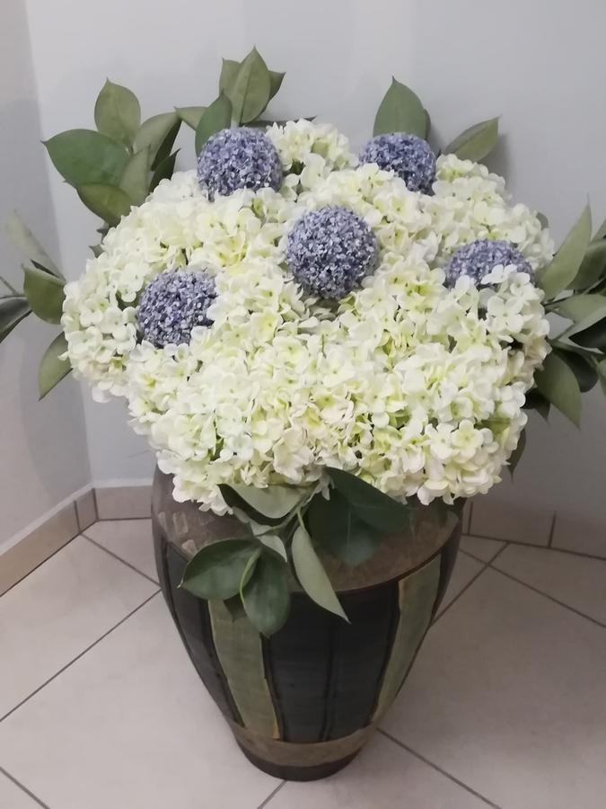 Hotel Europa - Family And Senior Friendly 카발라 외부 사진